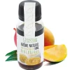 Cerf Dellier Arôme naturel de mangue biologique 50 ml - DDM 03/25