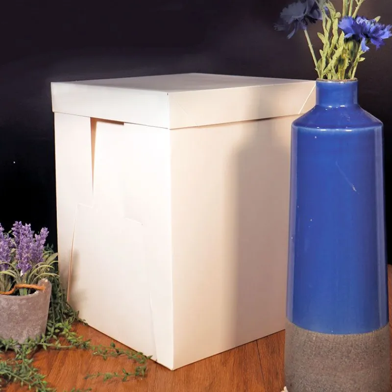 Cerf Dellier Boîte pâtissière blanche spéciale gâteau haut 40 cm
