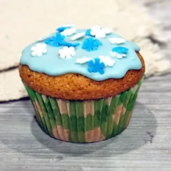 Cerf Dellier Caissettes cupcakes "Vichy vert anis" (x50)