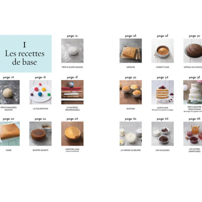Cerf Dellier Cake design premiers pas - Sally François