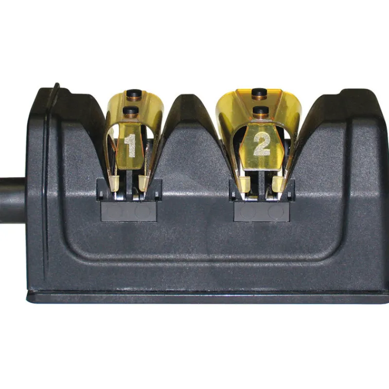 Cerf Dellier Chef's Choice module affutage pour 2000