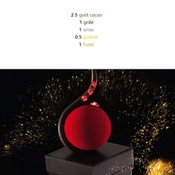 Cerf Dellier Chocolat de Couverture Noir Excellence pistoles 55 % 5 kg