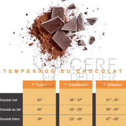 Cerf Dellier Chocolat de Couverture Noir Excellence pistoles 55 % 5 kg