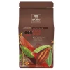 Cerf Dellier Chocolat pistoles Force Noire 50 % 1 kg
