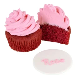 Cerf Dellier Colorant alimentaire naturel rose magenta PME