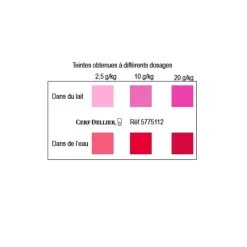 Cerf Dellier Colorant poudre alimentaire Rouge Framboise 100 g