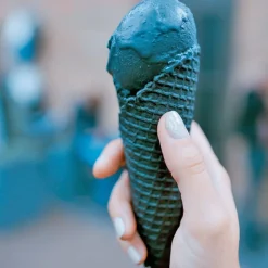 Cerf Dellier Colorant poudre alimentaire Noir Végétal 100 g