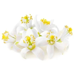 Cerf Dellier Extrait de fleur d'oranger 50 ml