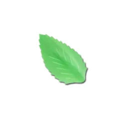 Cerf Dellier Feuille de rose azyme verte (x50)