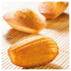 Cerf Dellier Flexipan 60x40 plaque de 40 madeleines 7,8x4,7 cm