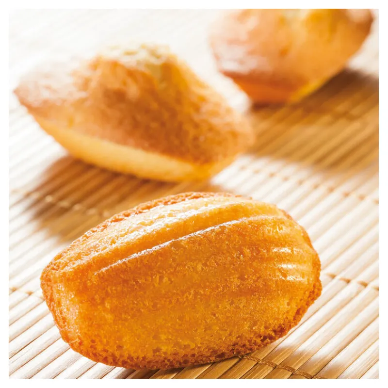 Cerf Dellier Flexipan 60x40 plaque de 40 madeleines 7,8x4,7 cm