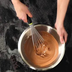 Cerf Dellier Fouet à sauce avec manche en Exoglass® - 25 cm