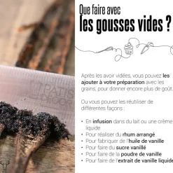 Cerf Dellier Gousse de Vanille Bourbon Madagascar (x2)