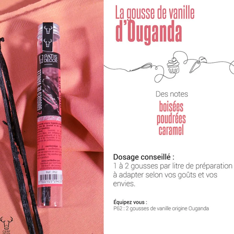 Cerf Dellier Gousse de Vanille Ouganda (x2)