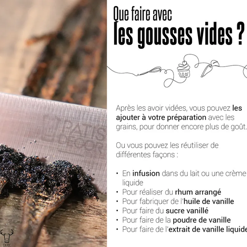 Cerf Dellier Gousses de vanille Bio (x2)
