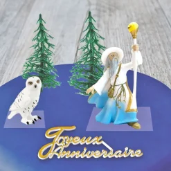 Cerf Dellier Kit décor Gâteau Sorcier