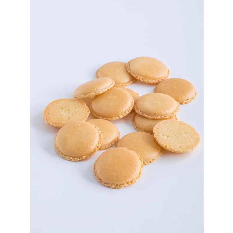 Cerf Dellier Le Petit Manuel du Macaron