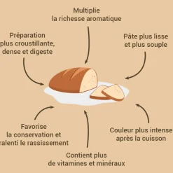 Cerf Dellier Levain de seigle 150 g