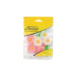 Cerf Dellier Marguerites assorties (x12)