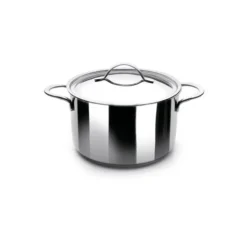 Cerf Dellier Marmite inox avec couvercle