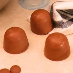 Cerf Dellier Moule chocolat en 3 parties 18 mini truffes