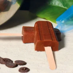 Cerf Dellier Moule chocolat en 3 parties glaces esquimaux
