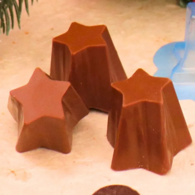 Cerf Dellier Moule chocolat en 3 parties 8 coupes étoile