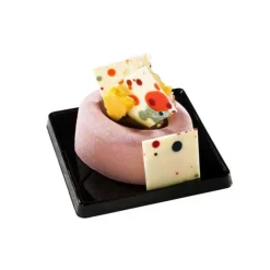 Cerf Dellier Moule silicone 10 savarins ovales