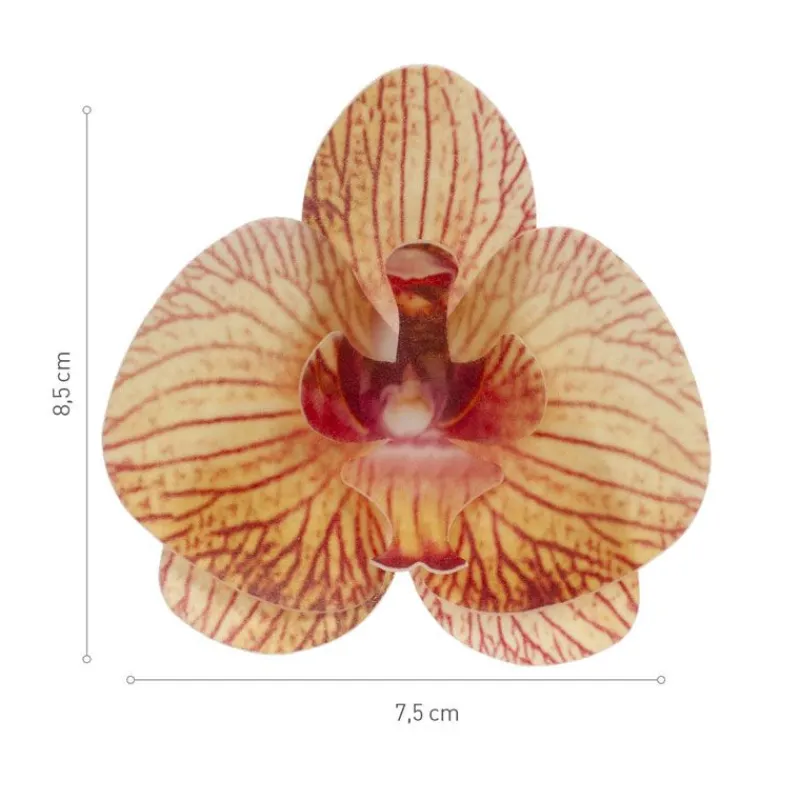 Cerf Dellier Orchidées jaunes azyme (x10)
