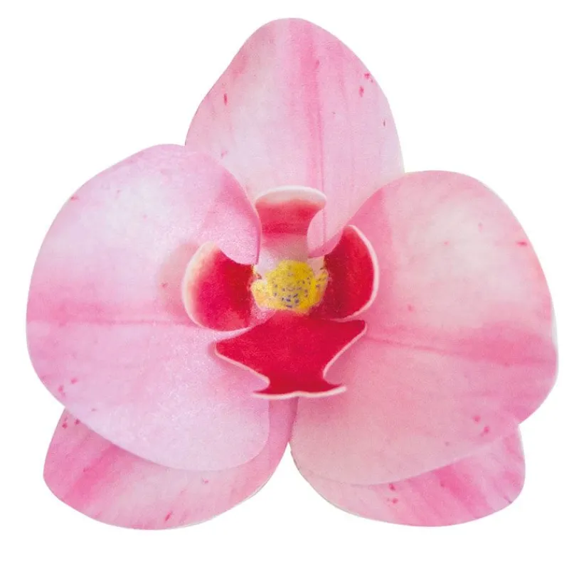 Cerf Dellier Orchidées roses azyme (x10)