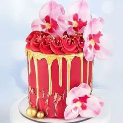 Cerf Dellier Orchidées roses azyme (x10)