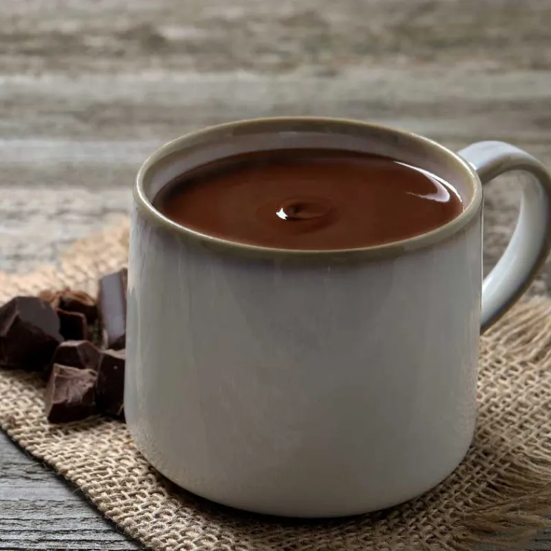 Cerf Dellier Préparation instantanée pour boisson au cacao saveur intense - 300 g
