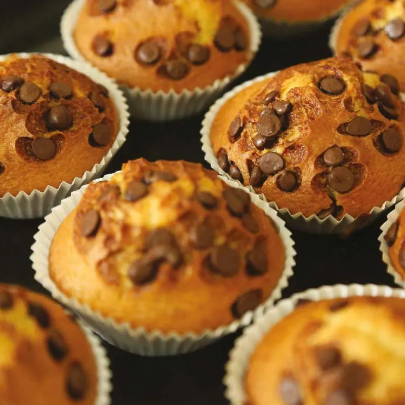 Cerf Dellier Préparation muffins 300 g