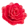 Cerf Dellier Rose rouge géante azyme