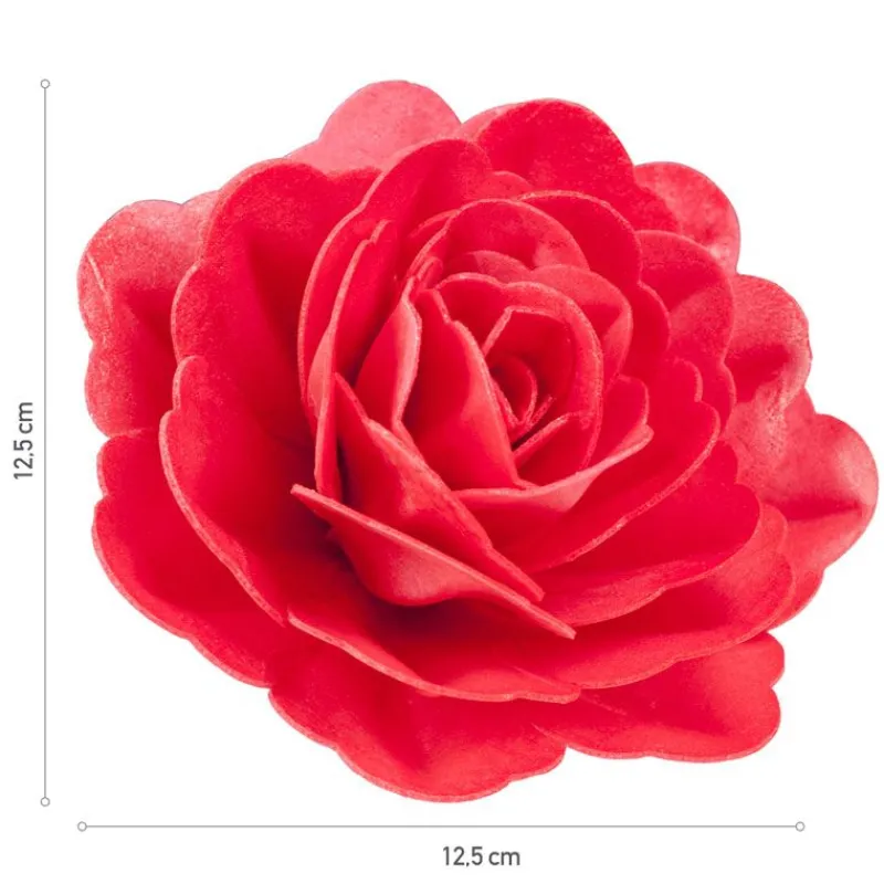 Cerf Dellier Rose rouge géante azyme