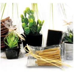Cerf Dellier Sachets plats polypropylène - 150 x 270 mm (x100)