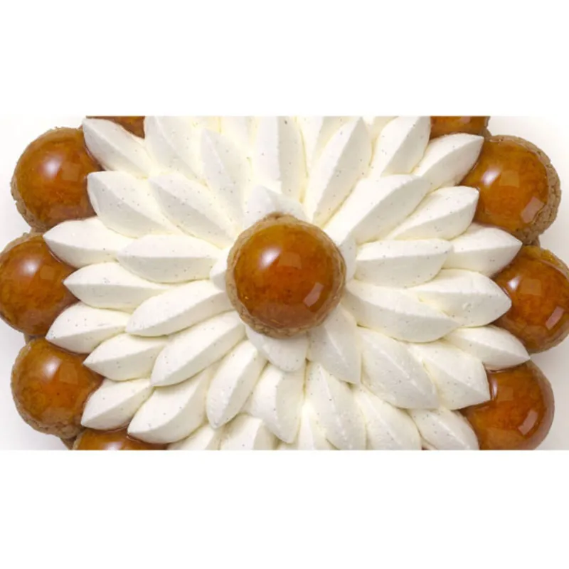 Cerf Dellier Sucre vanillé bio Prova 1 kg - DDM 03/24