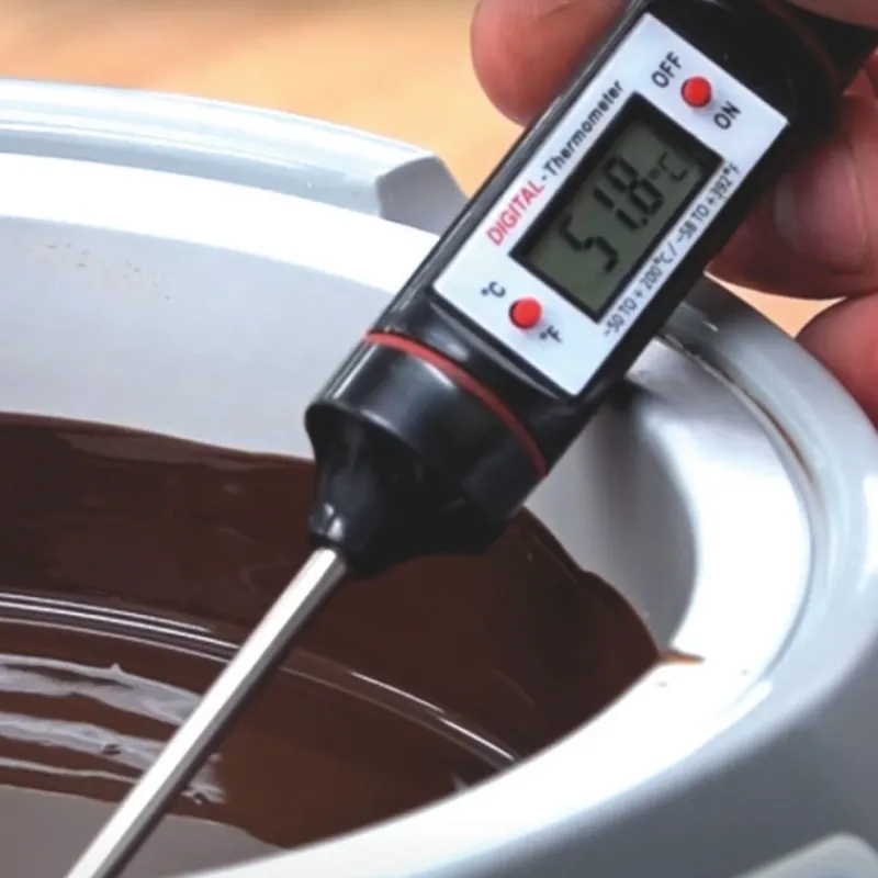 Cerf Dellier Thermomètre de cuisine digital électronique