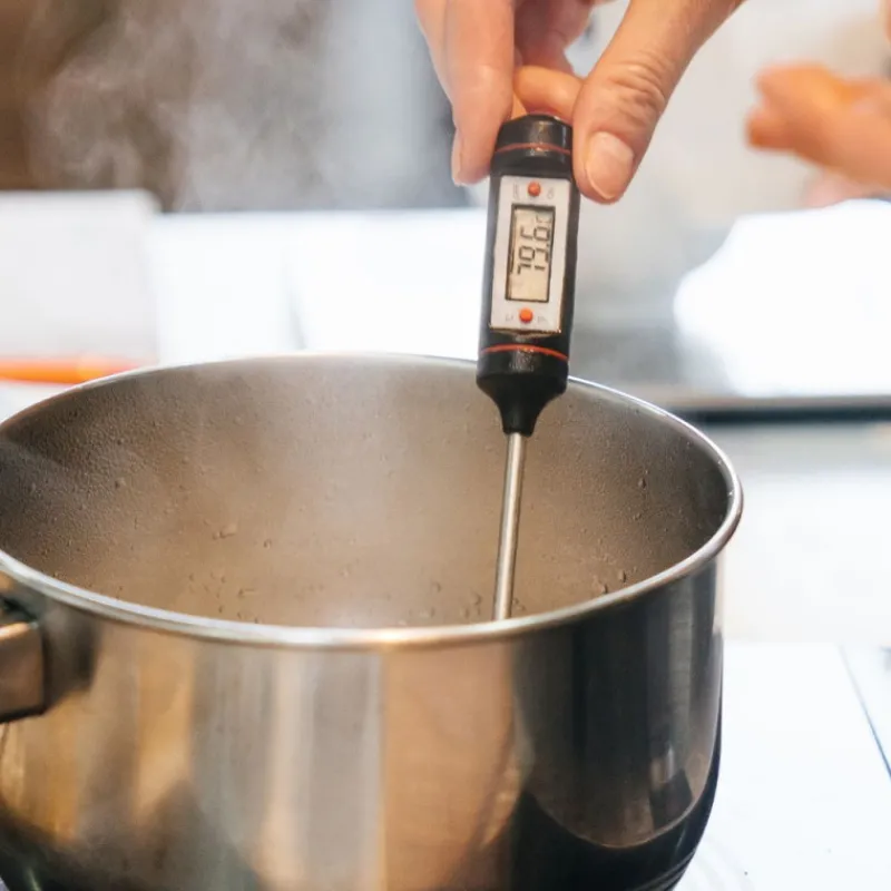 Cerf Dellier Thermomètre de cuisine digital électronique